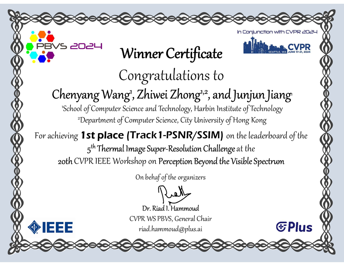 PBVS 2024 Track 1 winner certificate